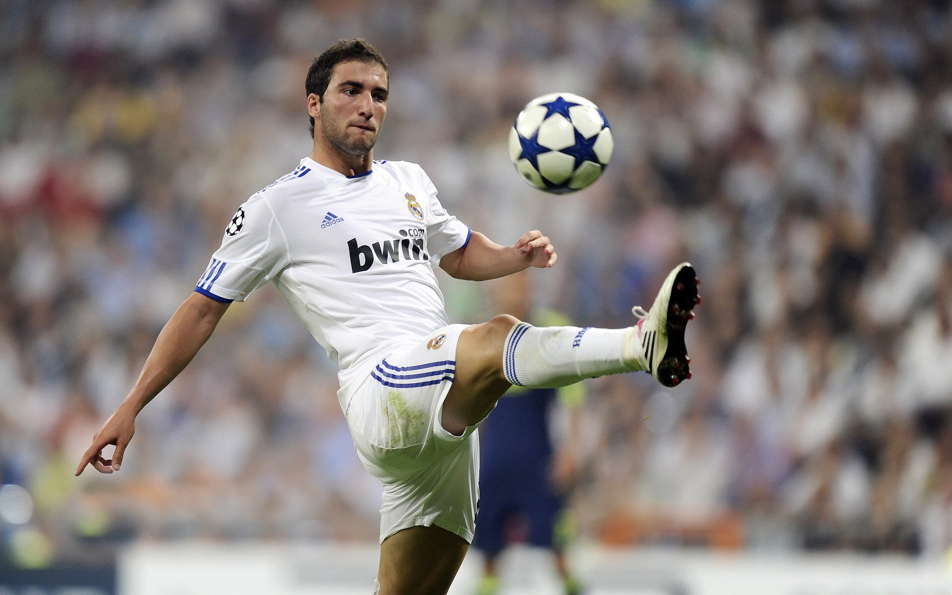 “本土球员表现抢眼，被誉为未来之星”，足球未来之星阵容