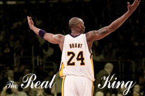 自行车环法赛，山地挑战引关注，环法自行车赛需要多少时间